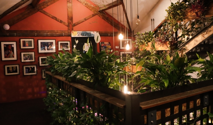 Pleasance Theatre Bar and Foyer sits under a canopy of plants.